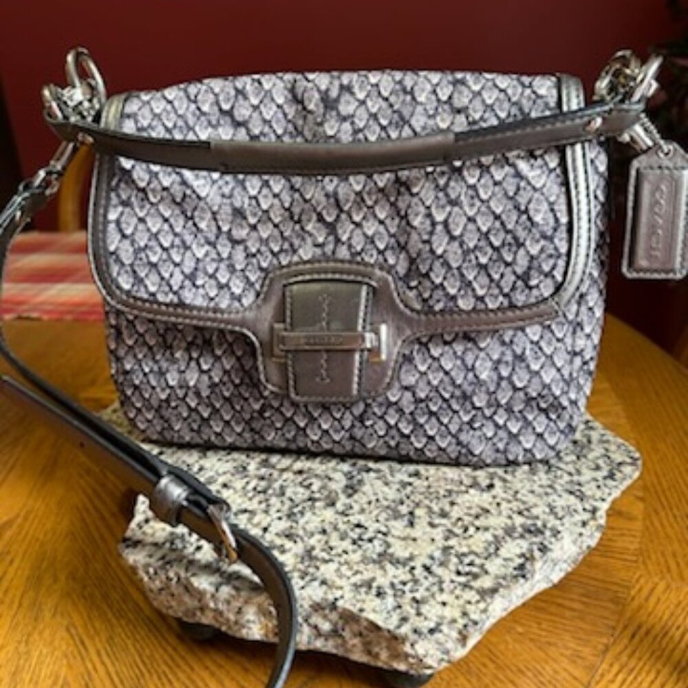 Coach Snake Print Taylor Snake Print Crossbody - image 1